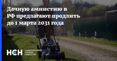 Дачную амнистию в РФ предлагают продлить до 1 марта 2031 года