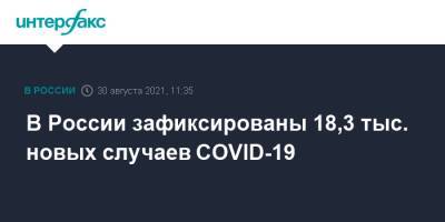 В России зафиксированы 18,3 тыс. новых случаев COVID-19