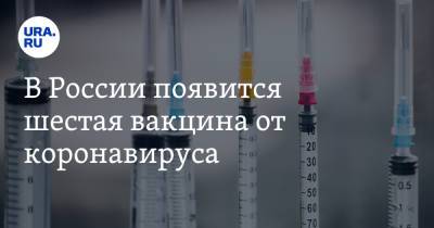 В России появится шестая вакцина от коронавируса