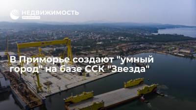 Правительство Приморского края: на базе ССК "Звезда" создают "умный город"