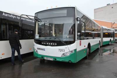 Маршруты автобусов в Сестрорецке изменят 31 августа из-за дорожных работ