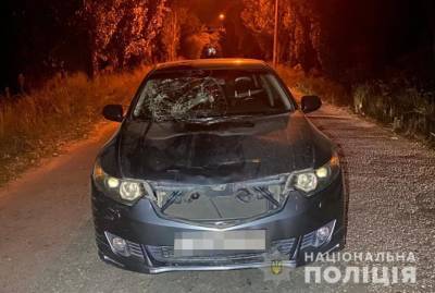 Полицейские Запорожья задержали водителя, сбившего семью с маленькой девочкой на острове Хортица