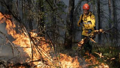 Глава Рослесхоза Советников рассказал об ущербе от лесных пожаров в России