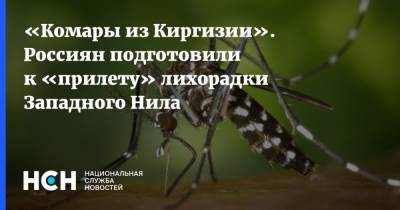 «Комары из Киргизии». Россиян подготовили к «прилету» лихорадки Западного Нила