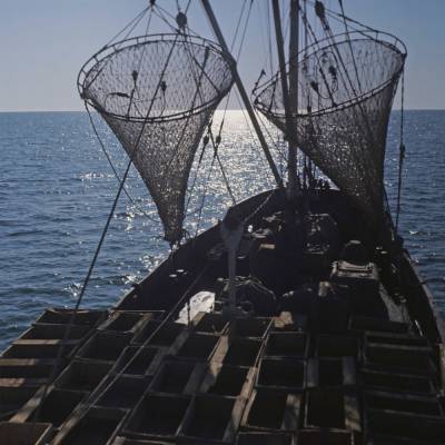 Рыболовный флот Грузии пополнится новыми судами