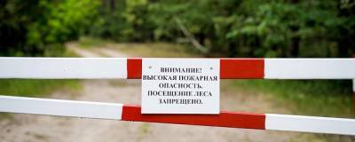 В Волгоградской области из-за жары продлен запрет на посещение лесов