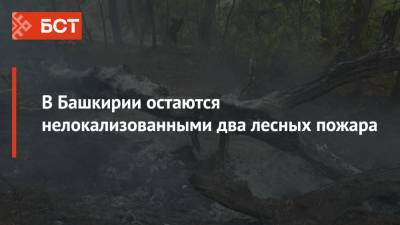 В Башкирии остаются нелокализованными два лесных пожара
