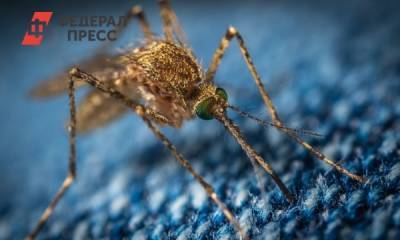Как защититься от комаров – переносчиков лихорадки Западного Нила