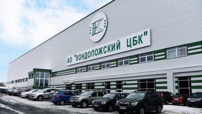 В модернизацию Кондопожского ЦБК в Карелии вложат 50 млрд рублей