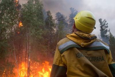 Власти Якутии пока не определились с открытием сезона охоты из-за пожаров