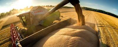 Минсельхоз России повысил экспортные пошлины на зерно