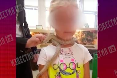 Змея укусила пятилетнюю посетительницу зоопарка в Екатеринбурге