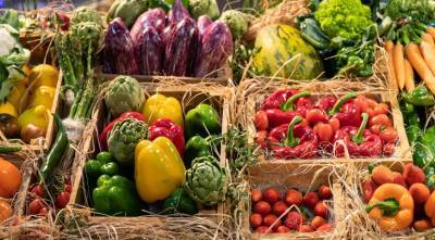 Как получить хороший урожай овощей в огороде