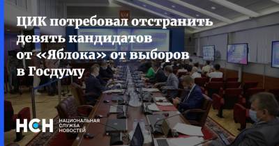 ЦИК потребовал отстранить девять кандидатов от «Яблока» от выборов в Госдуму