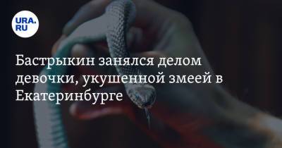 Бастрыкин занялся делом девочки, укушенной змеей в Екатеринбурге