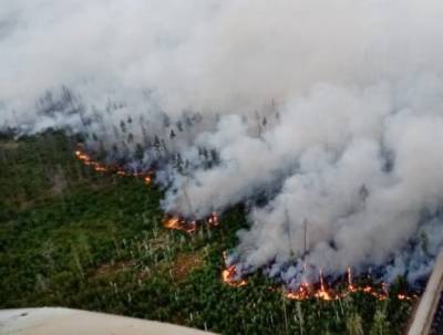 При тушении лесных пожаров а Приволжье Росгвардия активно применяет авиацию и беспилотники
