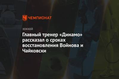 Главный тренер «Динамо» рассказал о сроках восстановления Войнова и Чайковски