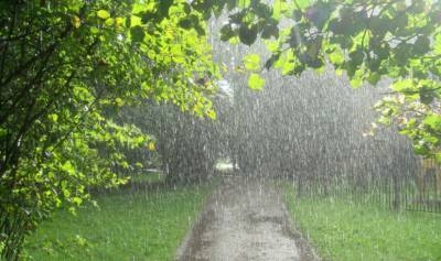 Смена лета на осень в Украине пройдет с дождями, синоптик предупредила об ощутимом похолодании