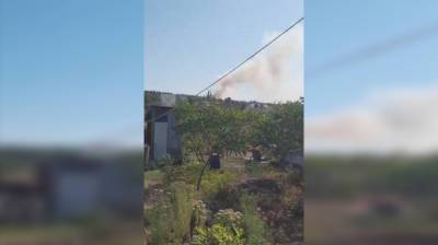У воронежских многоэтажек загорелся лес: появилось видео