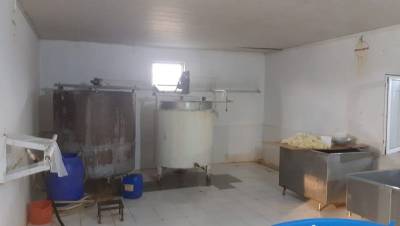 Цех в Барде производил сыр в антисанитарных условиях