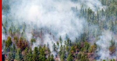 Природные пожары зафиксированы в 21 регионе России