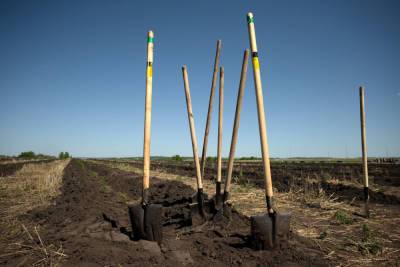 Жители Азова попытались закопать яму с археологами в страхе перед 5G вышками