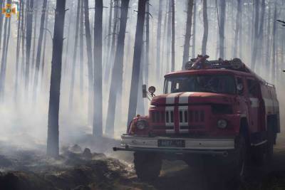 Под Северодонецком спасатели, лесники и ВСУ тушат лесной пожар