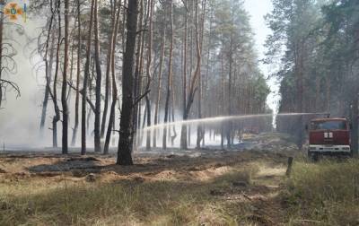 В Луганской области вспыхнул лесной пожар - korrespondent.net - Украина - Луганская обл. - район Северодонецкий
