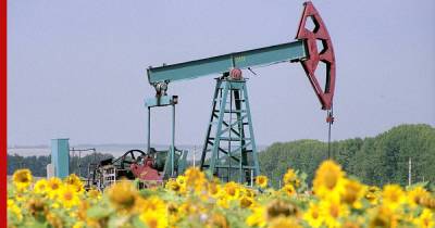 СМИ: ОПЕК+ намерена сохранить текущий темп добычи нефти