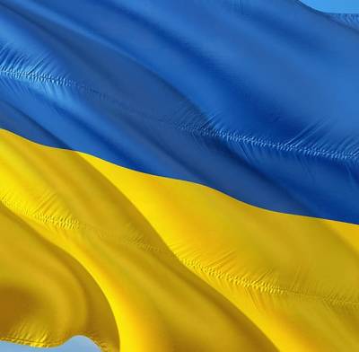 Союстов: Досрочные выборы президента Украины обрушат ее государственность