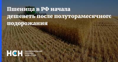 Пшеница в РФ начала дешеветь после полуторамесячного подорожания