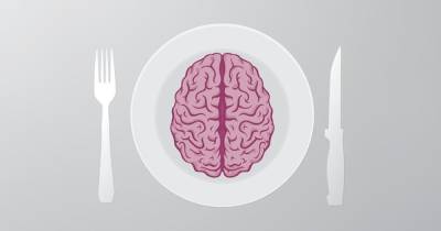 Ученые рассказали, зачем мозг все время сам себя ест