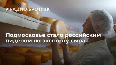 Московская область за полгода обошла остальные регионы России в экспорте сыра