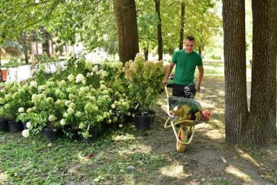 Территорию фестиваля «Белгород в цвету» украсят более 35 тысяч растений