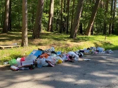 Ситуацию с мусором на курортах Крыма назвали «аховой»: горы мусора на каждой улице