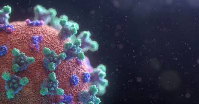 В ЮАР выявили новый штамм коронавируса