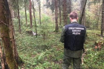 В Ярославской области найден труп грибника.