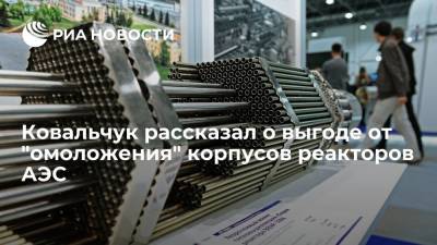 Ковальчук рассказал о выгоде от "омоложения" корпусов реакторов АЭС