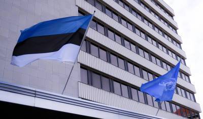 Эстонский МИД отказал в выдаче визы послу РФ