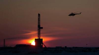 Минприроды оценило ресурсы нефти и газа арктических морей России