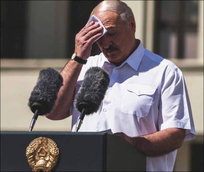 «Дорогой наш президент!» Как и где белорусы оскорбляли Лукашенко