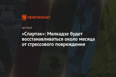 «Спартак»: Мелкадзе будет восстанавливаться около месяца от стрессового повреждения