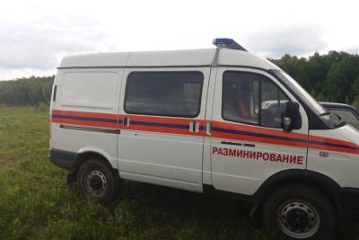 В Щекинском и Воловском районах Тульской области обезвредили боеприпасы времен ВОВ