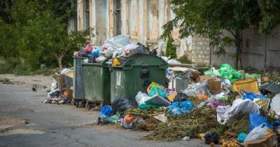 Ситуация катастрофическая: оккупанты жалуются на большие проблемы с мусором в Крыму (видео)