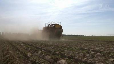 У российских аграриев весьма позитивные прогнозы на урожай