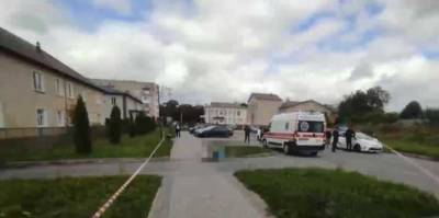 Мужчина, который в Житомирской области посреди улицы убил незнакомую женщину, объяснил свой поступок
