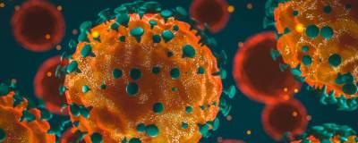 В ЮАР выявили новый штамм коронавируса с высокой скоростью распространения