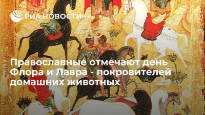 Православные отмечают день Флора и Лавра - покровителей домашних животных