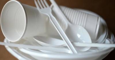 Опрос SuperJob: 44% россиян готовы отказаться от пластиковой посуды