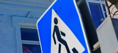Глава Управления транспорта Петрозаводска ответил на критику «заборов» у пешеходных переходов